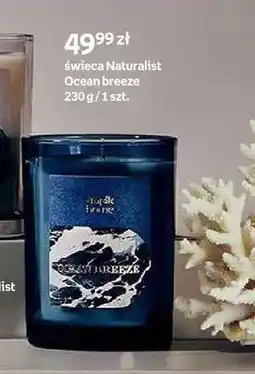 Empik Świeca empik home Naturalist Ocean breeze oferta