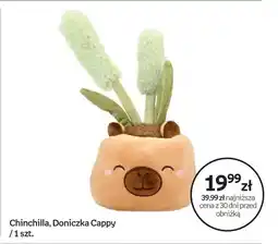 Empik Maskotka Chinchilla Doniczka Cappy oferta