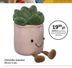 Empik Maskotka Chinchilla Sukulent 25cm oferta