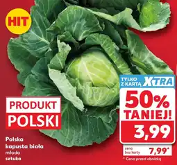 Kaufland Polska kapusta biała młoda oferta