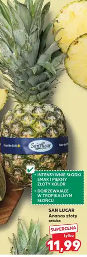 Kaufland San Lucar Ananas złoty oferta