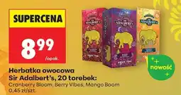 Biedronka Herbatka owocowa Sir Adalbert’s, 20 torebek oferta