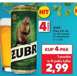 Kaufland Żubr Piwo oferta