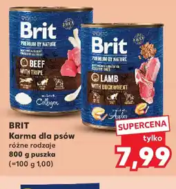 Kaufland Brit Karma dla psów oferta