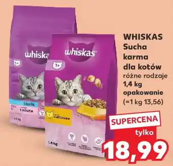 Kaufland Whiskas Sucha karma dla kotów oferta