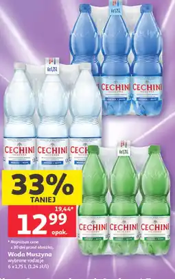 Auchan Woda Muszyna wybrane rodzaje oferta