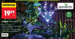 Biedronka Lampa solarna LED oferta