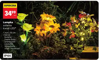 Lampka solarna kwiat LED