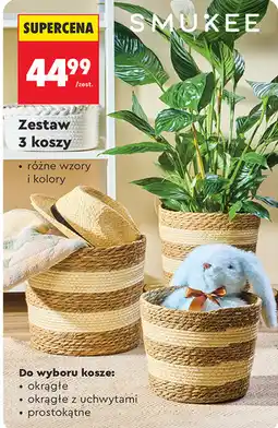 Biedronka Zestaw 3 koszy SMUKEE oferta