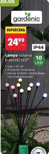 Biedronka Lampa solarna kuleczki LED gardenic oferta