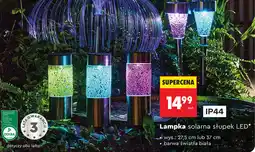 Biedronka Lampka solarna słupek LED oferta