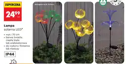 Biedronka Lampa solarna LED gardenic oferta