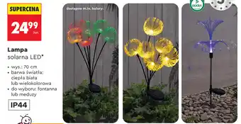 Lampa solarna LED gardenic
