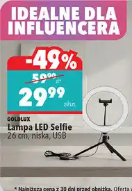 Biedronka Lampa LED Selfie 26 cm, niska, USB oferta