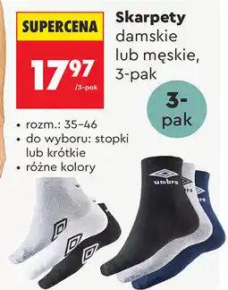Biedronka Skarpety damskie lub męskie, 3-pak oferta
