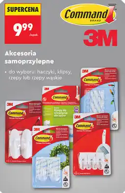 Biedronka Akcesoria samoprzylepne Command 3M oferta