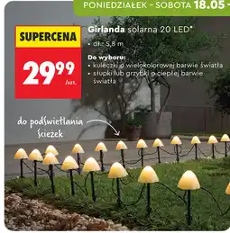 Biedronka Girlanda solarna 20 LED gardenic oferta