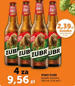 Groszek Piwo Żubr oferta