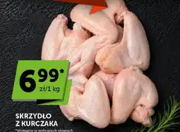 Groszek Skrzydło z kurczaka oferta