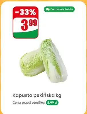 Dino Kapusta pekińska oferta