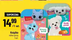 Polomarket Książka Uroczy kotek oferta