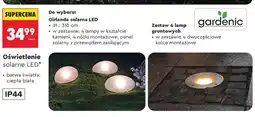 Biedronka Girlanda solarna LED gardenic ciepła biała 310cm oferta