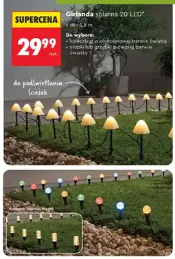 Biedronka Girlanda solarna 20 LED kuleczki o wielokolorowej barwie światła dł. 5,8m oferta