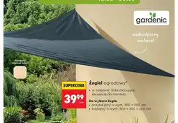 Biedronka Żagiel ogrodowy prostokątny Gardenic 300x200cm oferta