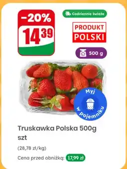 Dino Truskawka polska oferta