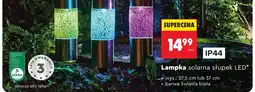Biedronka Lampka solarna słupek LED gardenic biała 27,5cm oferta