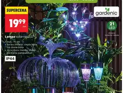 Biedronka Lampa solarna LED gardenic zboża ciepła biała 21 LED 70cm oferta
