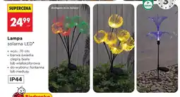 Biedronka Lampa solarna LED fontanna ciepła biała wys. 70cm oferta