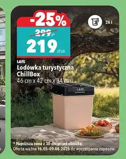 Biedronka Lodówka turystyczna LAFE ChillBox 46cm x 42cm x 34cm oferta