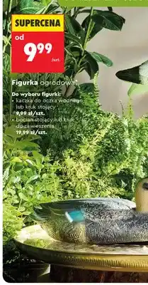 Biedronka Figurka ogrodowa kruk stojący oferta