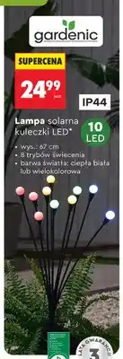 Biedronka Lampa solarna kuleczki 10 LED wielokolorowa wys. 67cm oferta