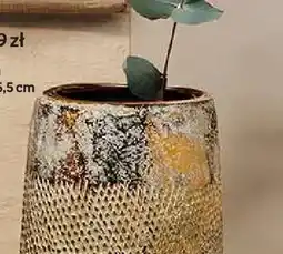 Empik Osłonka 17,5x26,5cm oferta