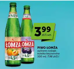 Groszek Piwo Łomża oferta