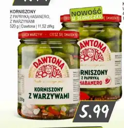 Słoneczko Dawtona Korniszony oferta