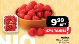 Netto Malina oferta