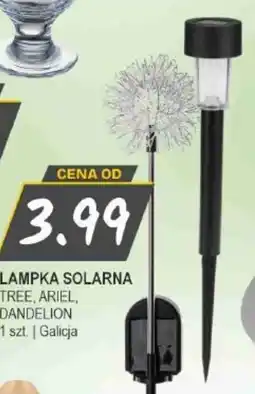 Słoneczko Galicja Lampka solarna oferta