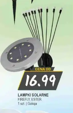 Słoneczko Galicja Lampki solarne oferta