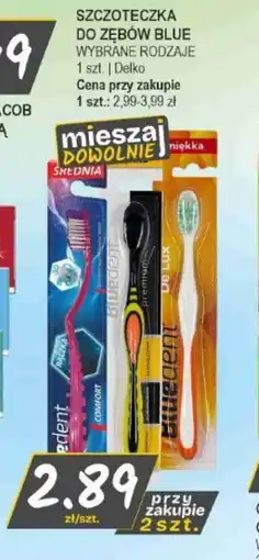 Słoneczko Blue Szczoteczka do zębów oferta