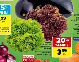 Carrefour Sałata karbowana czerwona, zielona oferta
