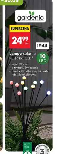 Biedronka Lampa LED Gardenic oferta