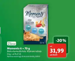 Maxi Zoo Mokra karma dla kota Moments oferta