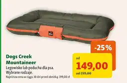 Maxi Zoo Legowisko dla psa Dogs Creek oferta