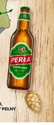 Stokrotka Piwo Perła Chmielowa oferta