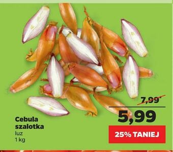 Netto Cebula szalotka oferta