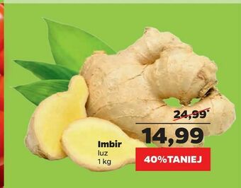Netto Imbir oferta