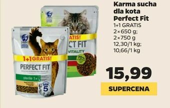 Netto Karma sucha dla kota Perfect Fit oferta